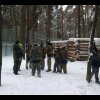 Игры на Заставе в партизанском лесу. 19.01.2017 и 22.01.2017г.
